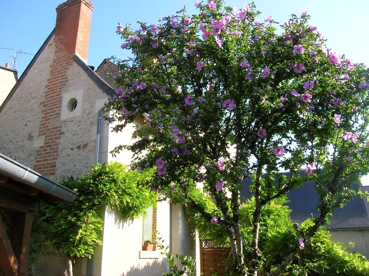 Hotel Le Petit Jardin Yoyo Monts Exteriér fotografie